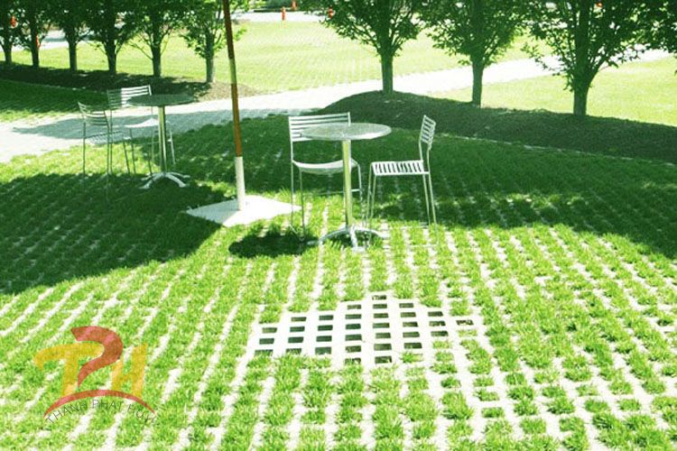 Công ty cung cấp gạch trồng cỏ 8 lỗ không gian đẹp
