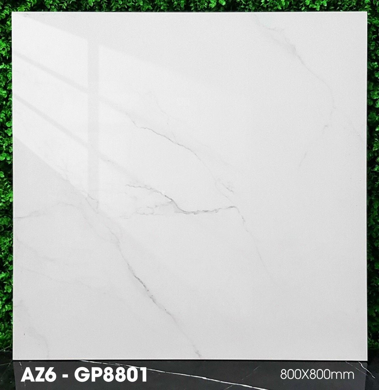 AZ6-GP8801