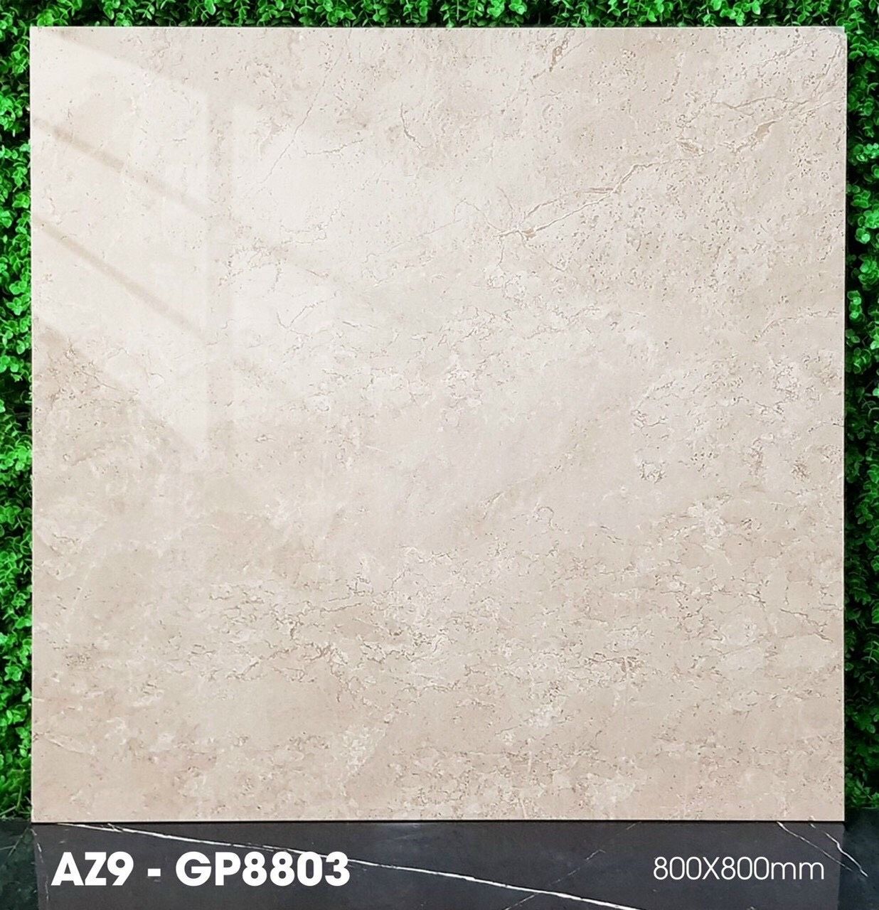 AZ9-GP8803