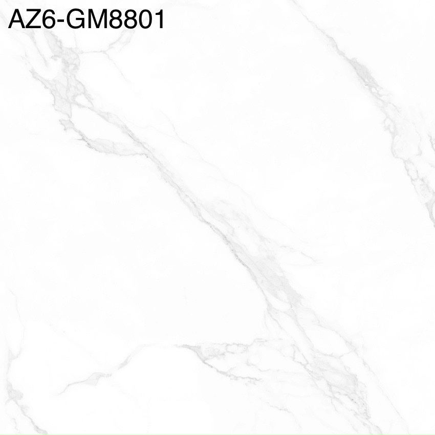 AZ6-GM8801