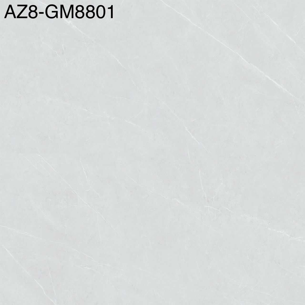 AZ8-GM8801
