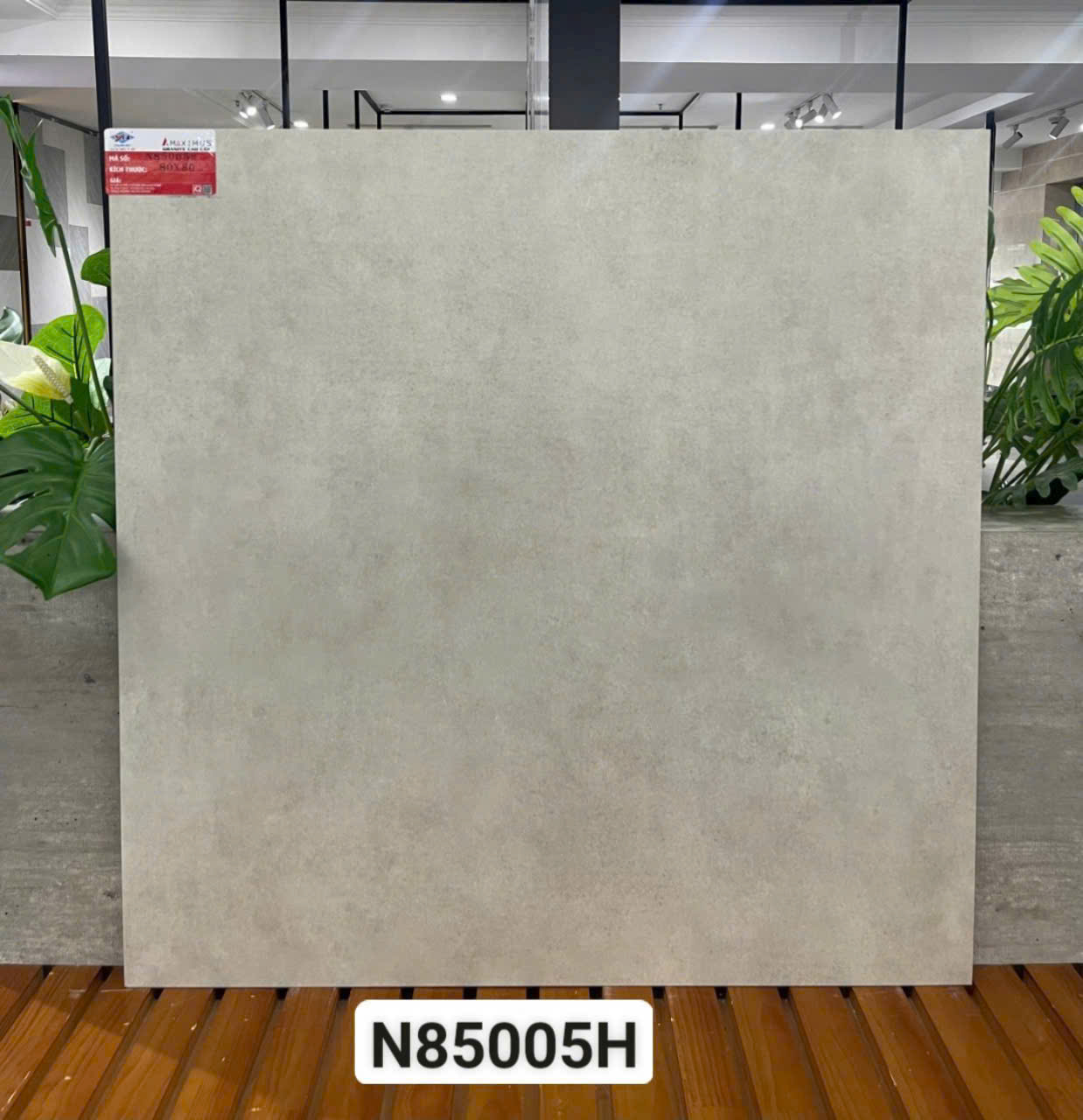 gach 80x80 y my N85005H