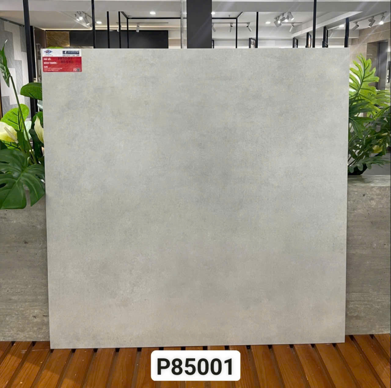 gach 80x80 y my P85001