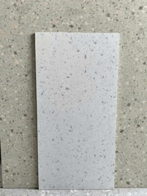 GACH 30X60 TERAZZO 306112
