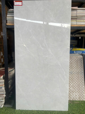 60X120 VIGLCERA CA25 GP61201