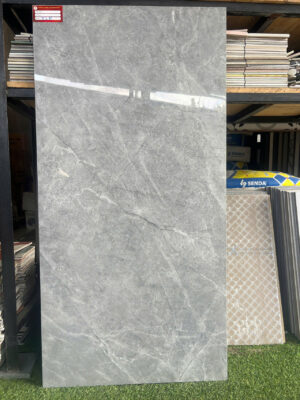 60X120 VIGLCERA CA25 GP61202