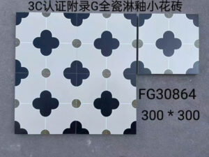 gach 30x30 FD30864