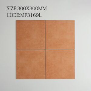 GACH 30X30 MF3169L