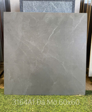 gach 60x60 a my 3164