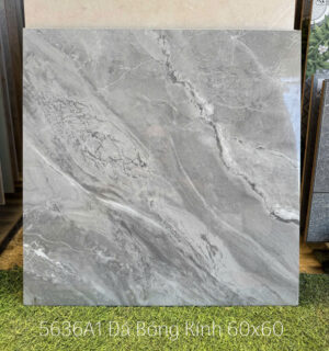 gach 60x60 a my 5636
