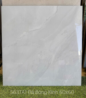 gach 60x60 a my 5637