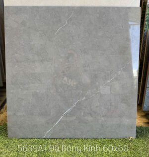 gach 60x60 a my 5639