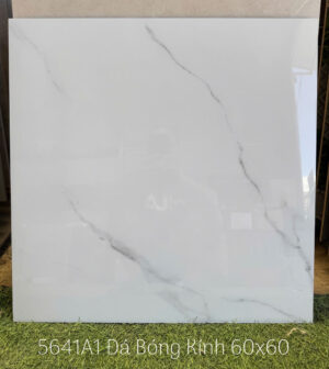 gach 60x60 a my 5641