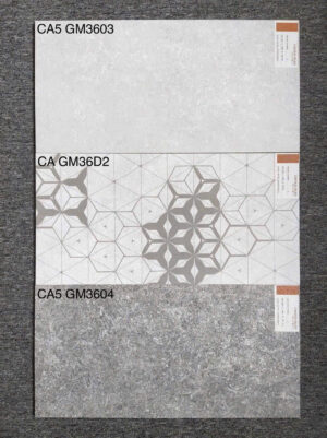 gach 30x60 CA5 3603 3604