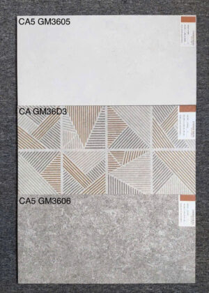 gach 30x60 CA5 3605 3606