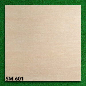 gach 60x60 Viglacera SM 601