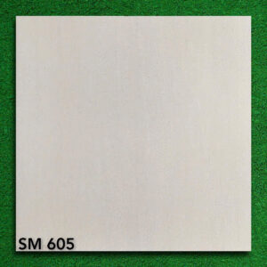 gach 60x60 Viglacera SM 605