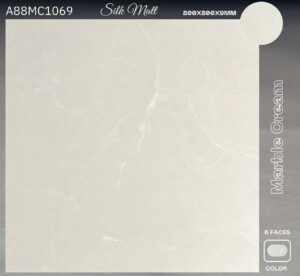 gạch 80x80 Apodio A88MC1069