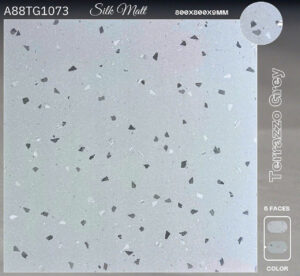 gạch 80x80 Apodio A88TG1073