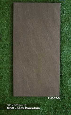 gach 30x60 viglacera PH367-5