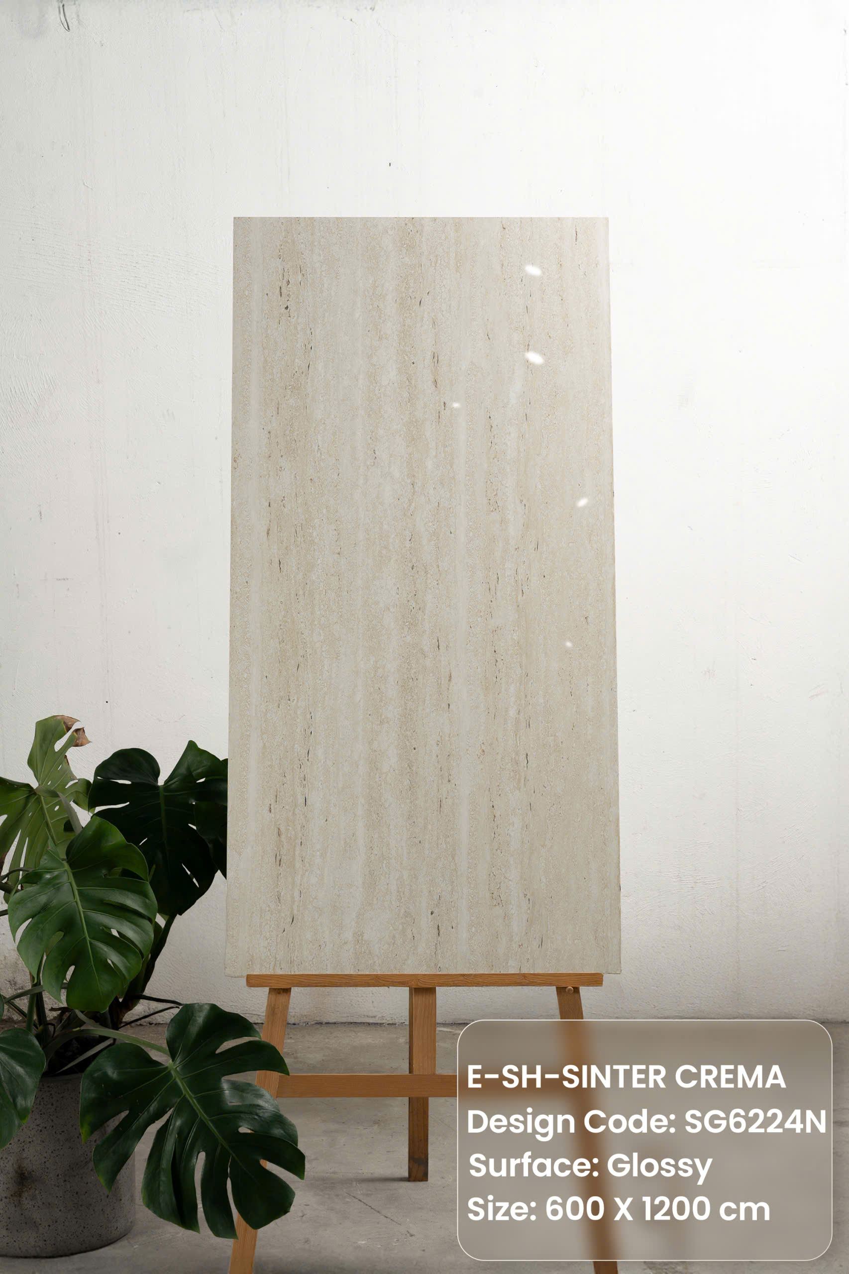 Gạch travertine 60x120cm bóng SG6224N