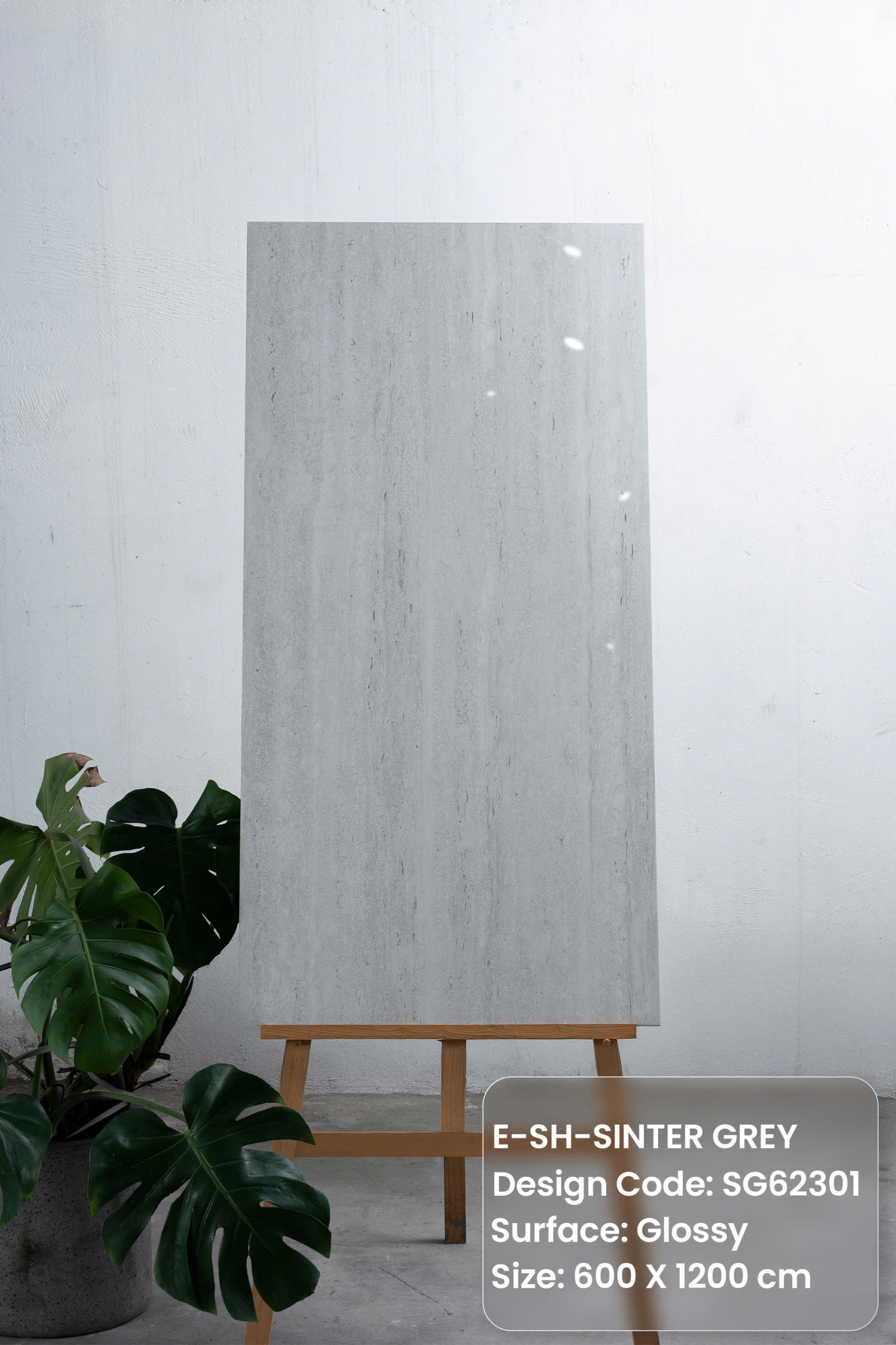 Gạch travertine 60x120cm bóng SG62301
