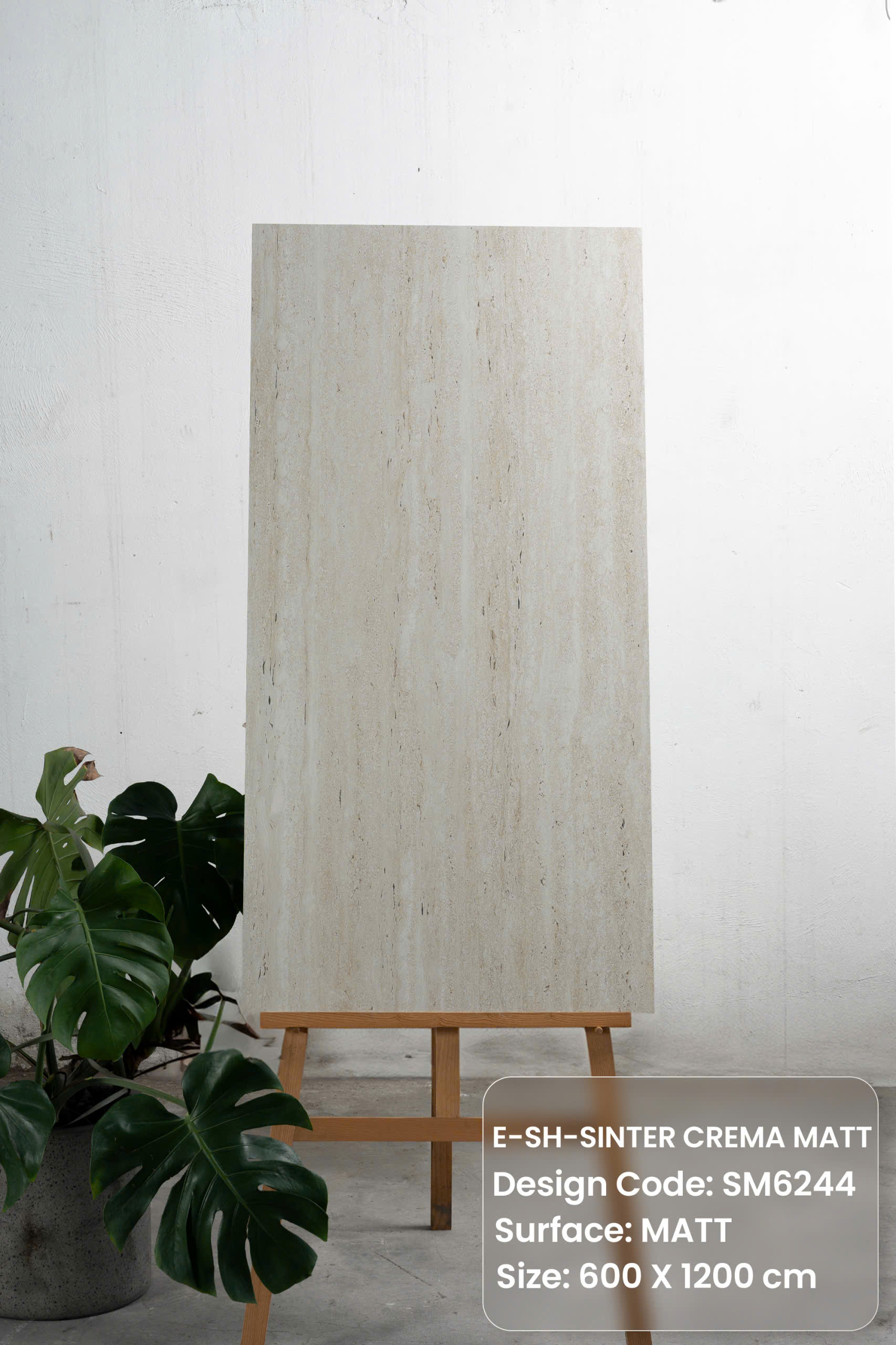 Gạch travertine 60x120cm mờ SM6244