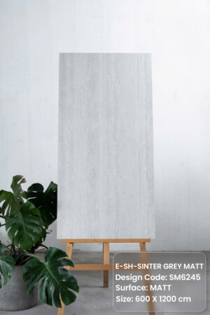 gach 60x120 traveretine mo SM6245