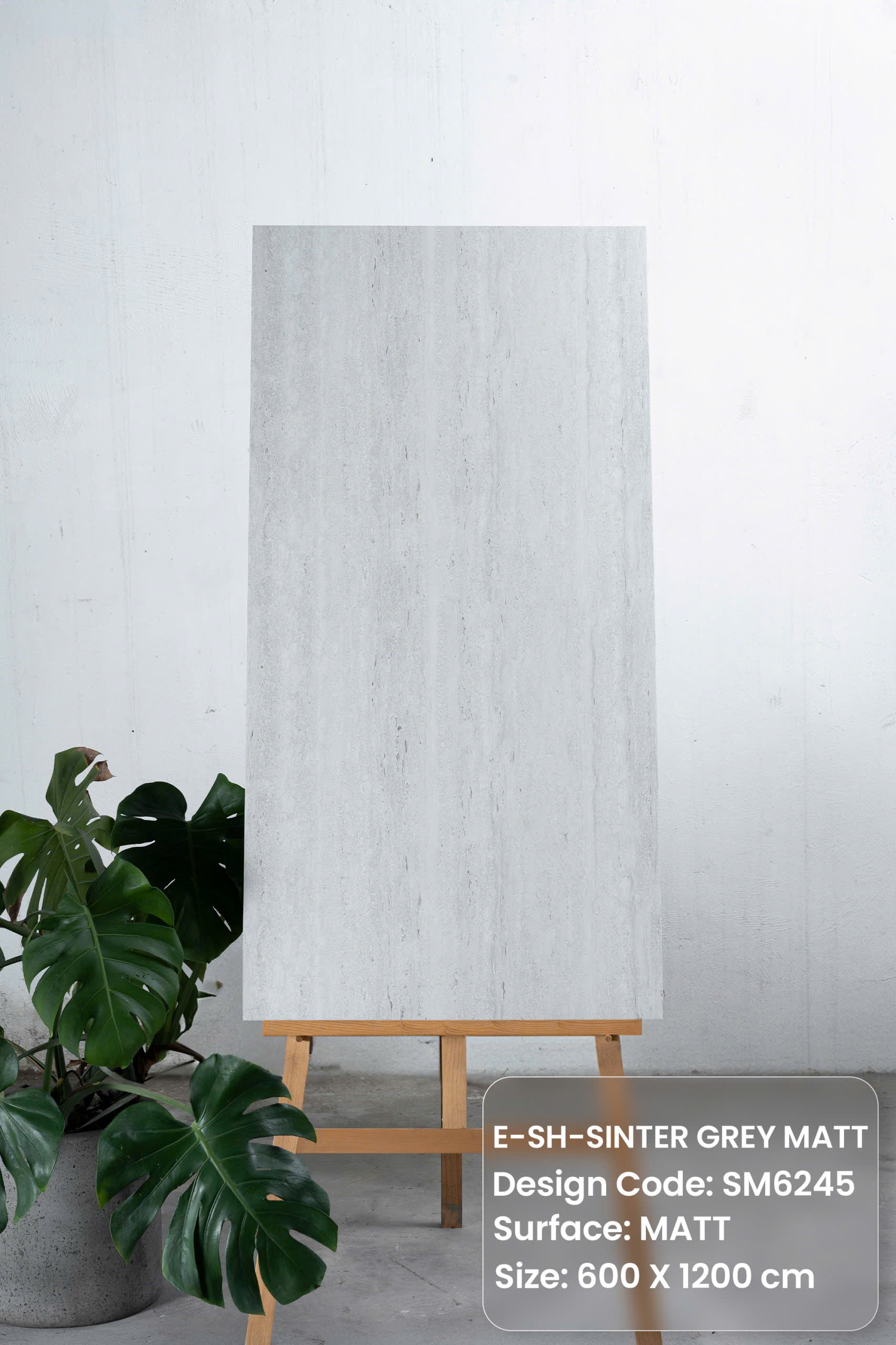 Gạch travertine 60x120cm mờ SM6245